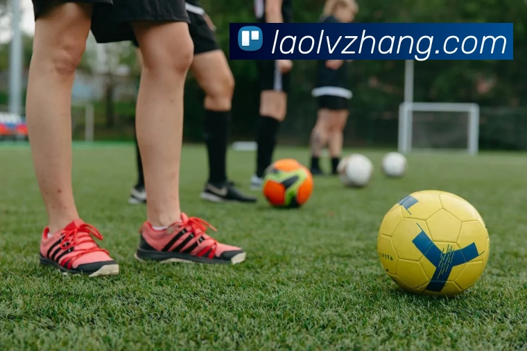 App Interface Preview